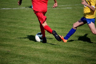 华体会app-篮球训练计划科学制定与执行效果评估，篮球训练计划制定与范例