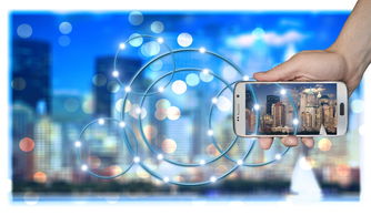 华体会app-高校运动训练信息管理平台的开发与应用探索,运动训练管理系统要素包括哪些方面