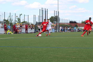 华体会app安装-未来足球运动场将实现环保材料全覆盖,绿色发展理念深入人心,室外足球场的运营方案