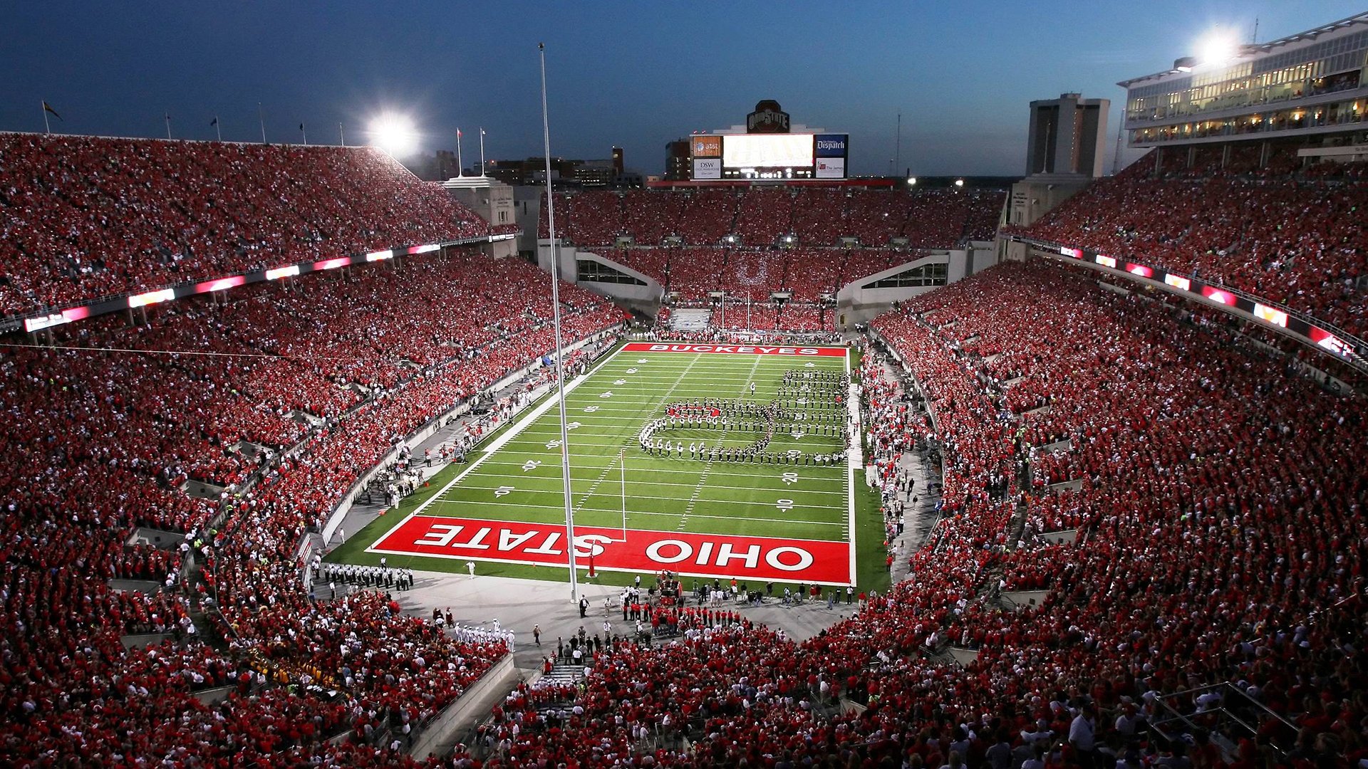 200蝶争锋 乌兰多水中飞翔